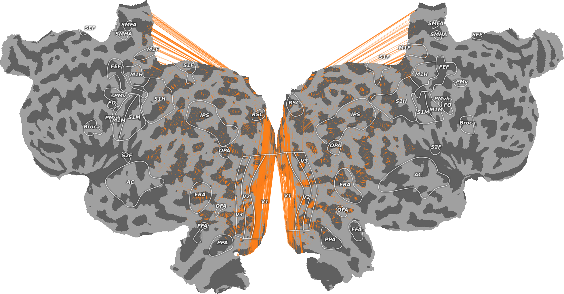 plot connected vertices