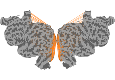 Plot which vertices are inside the same voxels