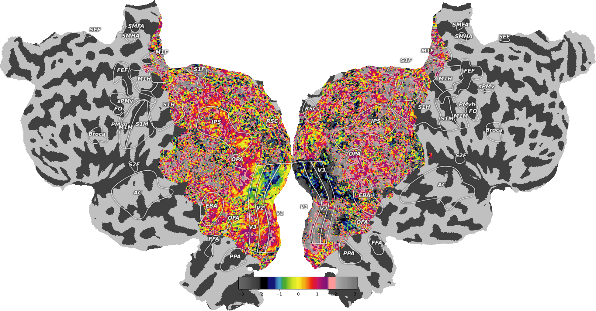 plot retinotopy flatmap