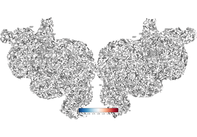 Ignore NaN (not-a-number) values in thickness mapping