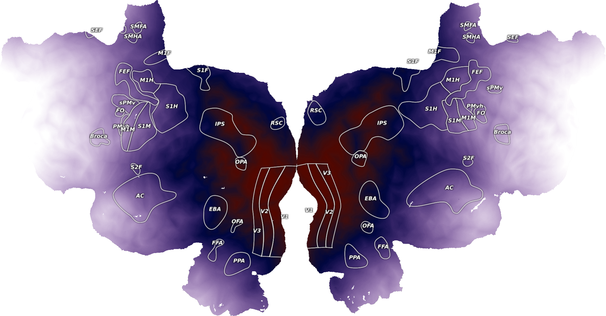 plot vertex2D