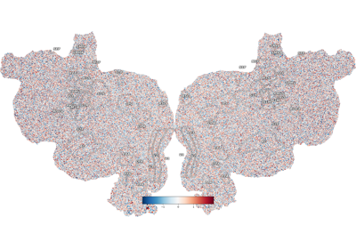 Plot Vertex Data