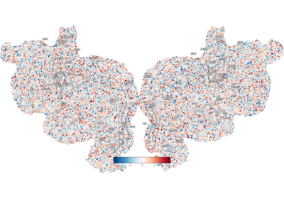 Map from Volume to Vertex Data