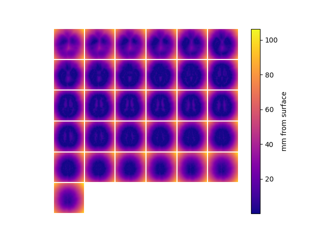 plot voxel distance from surface