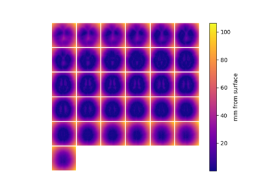 Voxel distance from surface